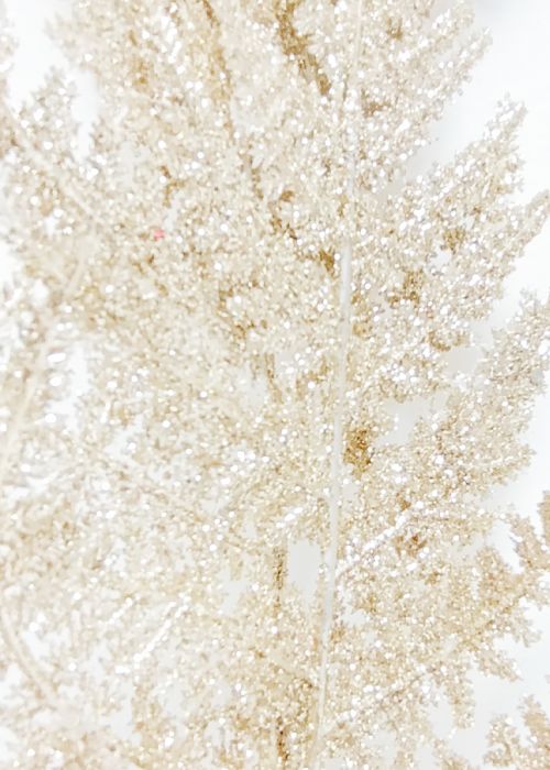 Helecho Dorado Navideño 76 Dorado