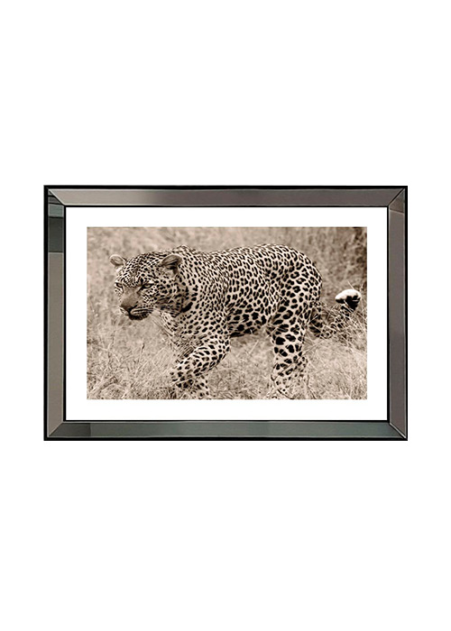 Cuadro Tigre Negro