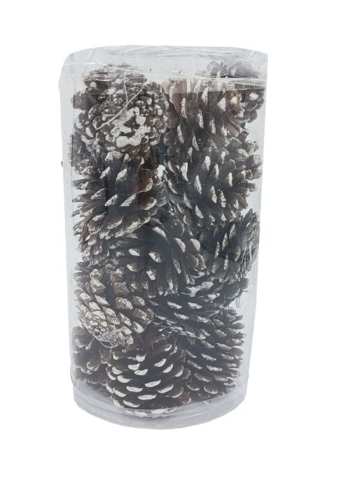 Caja de 20 piñas decorativas