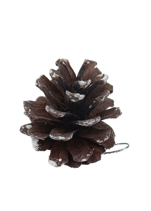 Caja de 20 piñas decorativas Neutro