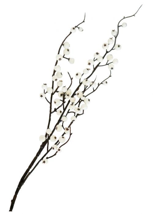 Rama de Bayas Blancas Nevadas