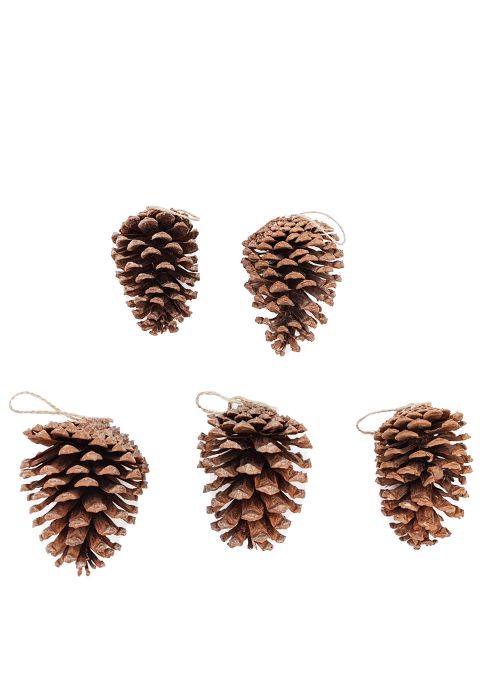 Set de 5 piñas decorativas Marron