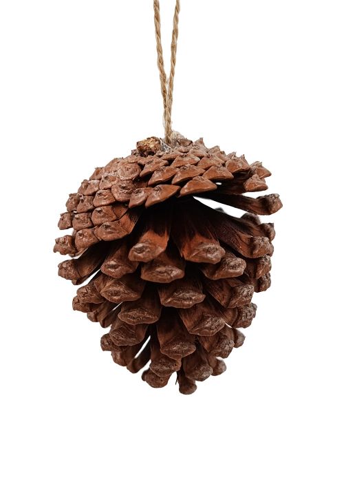 Set de 5 piñas decorativas Marron