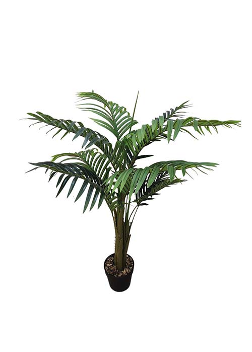 Palmera mini