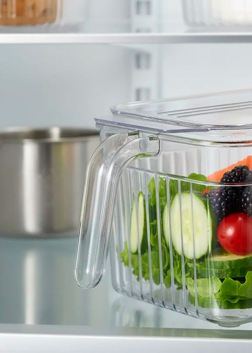 Organizador transparente con tapa mediano Neutro