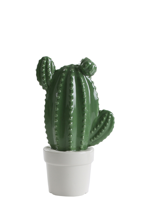 Cactus en Maceta de Cerámica 12 cm Verde Oscuro