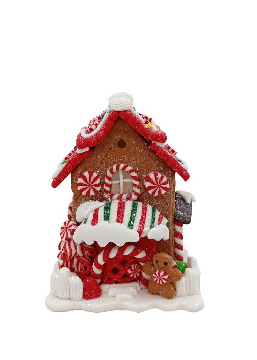 Casa de Jengibre Multicolor