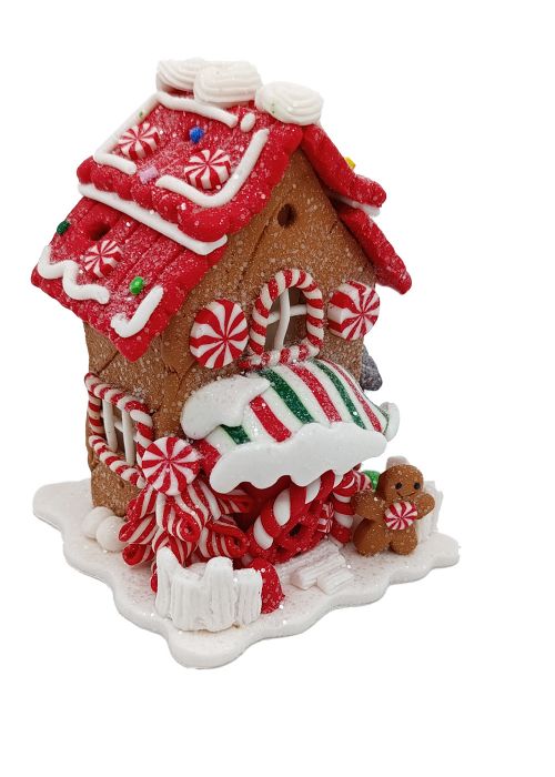 Casa de Jengibre Multicolor