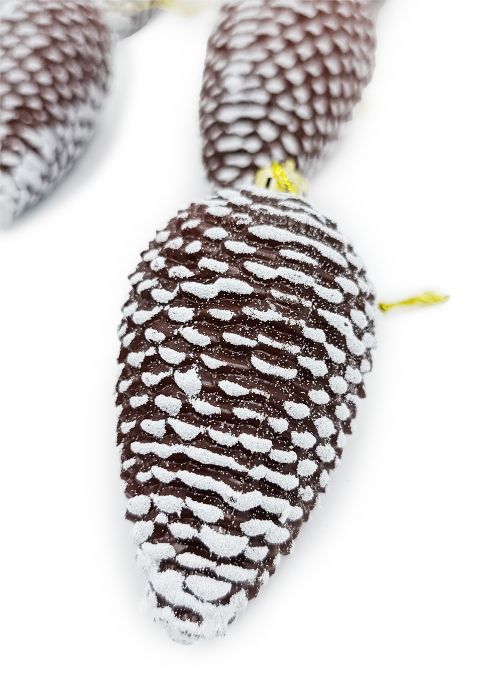 Set de 6 adornos piñas Marron