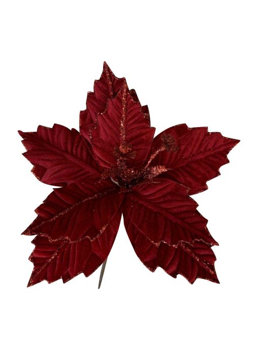 Poinsettia Roja Rojo