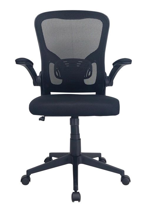 Sillón Cuvier