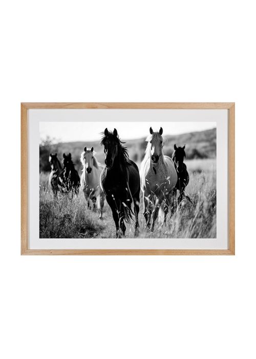 Cuadro Caballos Sobre Agua