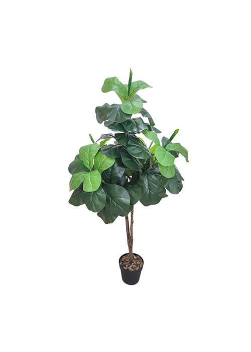 Planta FIDDLE LEAF grande Verde Ingles
