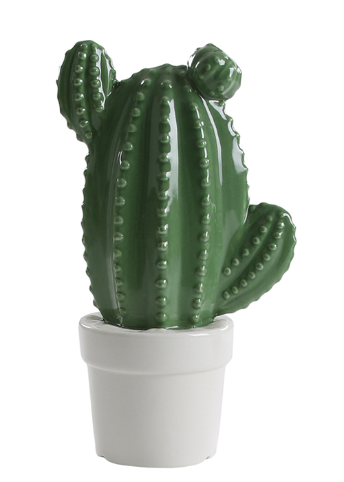 Cactus en maceta de cerámica de 22 cm