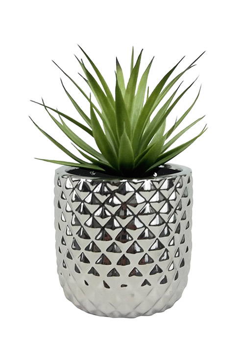 Cactus Vaso Silver Plata