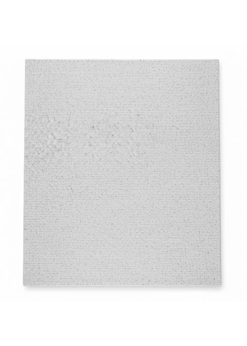 Alfombra Auckland II Gris 200 cm Gris