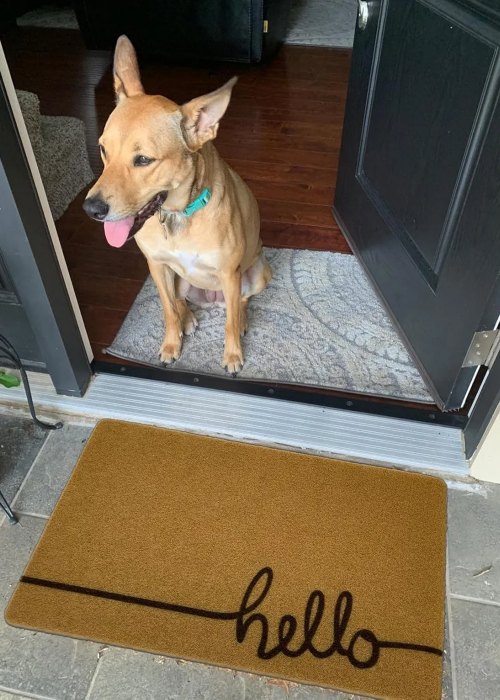 Felpudo Decorativo de Entrada Hello Neutro