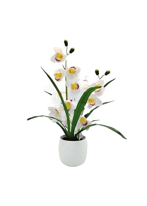 Orquidea blanca maceta cilindro