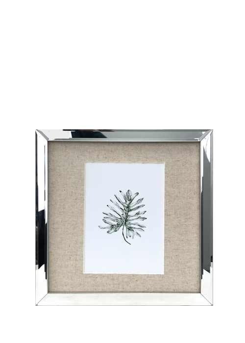 Cuadro Botánica Palmera 25 cm
