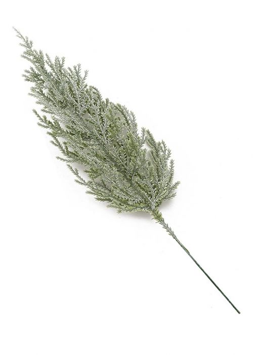 Ciprés Invernal 68 Verde