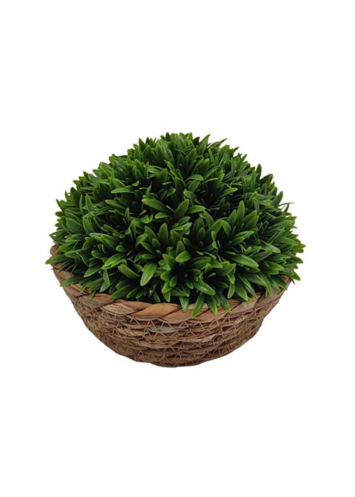 Planta en canastita GREENERY Verde