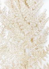 Helecho Dorado Navideño 76