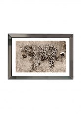Cuadro Tigre Negro