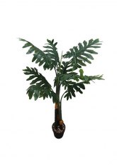 Planta PHILODENDRON 1.20 mts Verde Ingles