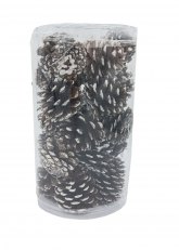 Caja de 20 piñas decorativas