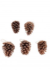 Set de 5 piñas decorativas