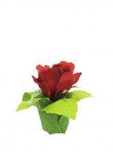 Bouquet Rosa Roja