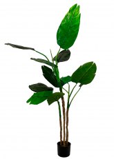 Planta Traveller grande 180