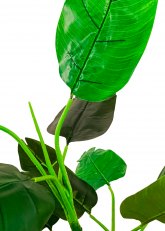 Planta Traveller grande 180