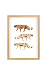 Cuadro Leopardo 5015-5