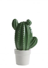 Cactus en Maceta de Cerámica 12 cm - Verde Oscuro