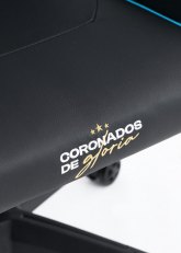 Butaca Oficial de la Seleccion Argentina