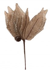 Flor Poinsettia de Tela