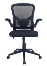 Sillón Cuvier