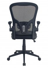 Sillón Cuvier