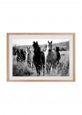 Cuadro Caballos Sobre Agua Natural