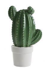 Cactus en maceta de cerámica de 22 cm - Verde Oscuro