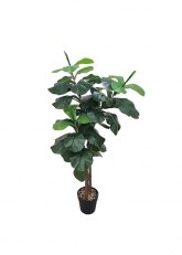 Planta FIDDLE LEAF chica Verde Ingles