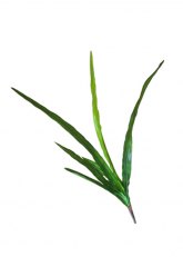 Planta Artificial Yuca - Verde Oscuro