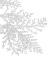 Helecho Nevado Navideño