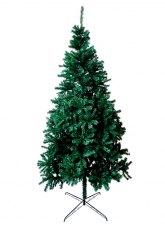 Arbol Maryland 3 Mts. Verde